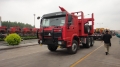 HOWO Log Timber Wood Transport Truck 